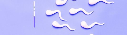 Should you have an Orgasim before or after insemination?